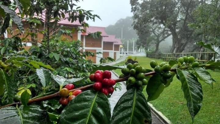 Finca Santa Rosa Teocelo 외부 사진
