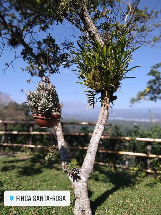 Finca Santa Rosa Teocelo 외부 사진