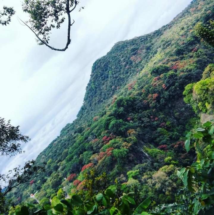 Finca Santa Rosa Teocelo 외부 사진